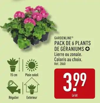 GARDENLINE Pack de 6 plants de géraniums