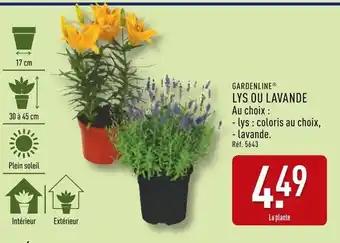 Promotion Exclusives de 9
Lys : Découvrez l'Offre incontournable