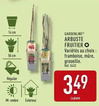Promotion Exclusives de 6
Arbuste fruitier : Découvrez l'Offre incontournable