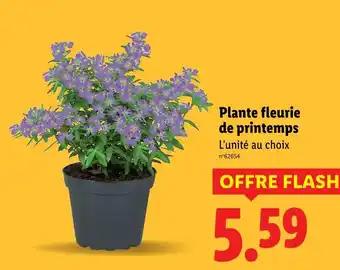 Promotion Exclusives de 9
            
        
        Fleurie : Découvrez l'Offre incontournable