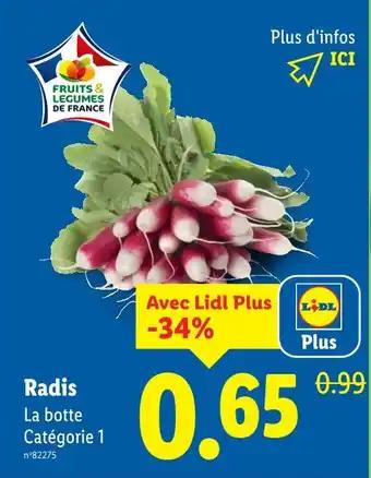 Promotion Exclusives de 7
            
        
        Radis : Découvrez l'Offre incontournable