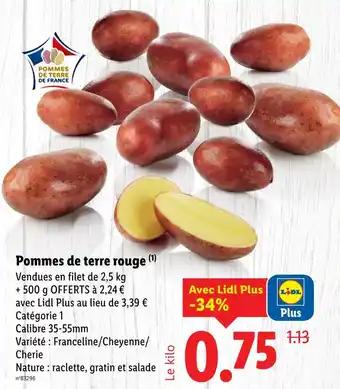 Pommes de terre de France Pommes de terre rouge