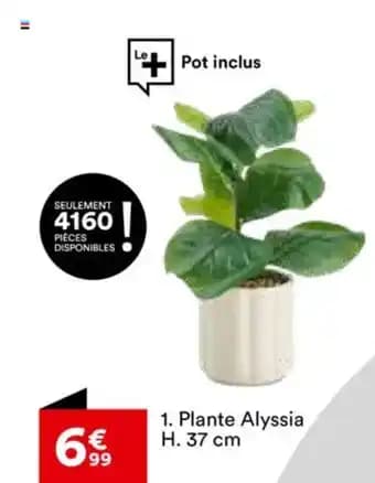 Promotion Exclusives de 27
Plante : Découvrez l'Offre incontournable