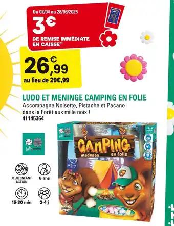 Ludo et meninge camping en folie