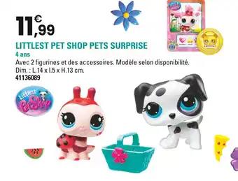 Promotion Exclusives de 17
Surprise : Découvrez l'Offre incontournable