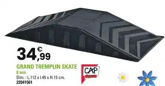 CAP Sports Grand tremplin skate