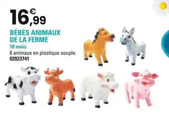 Bébés animaux de la ferme