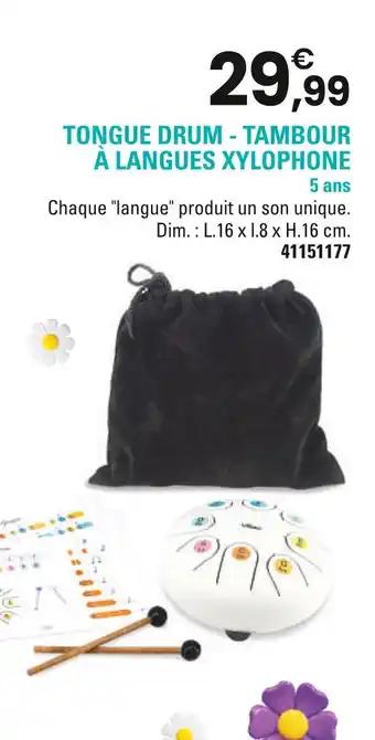 Tongue drum - tambour à langues xylophone