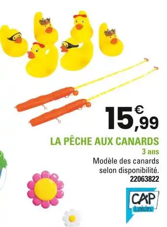 CAP Loisirs La pêche aux canards