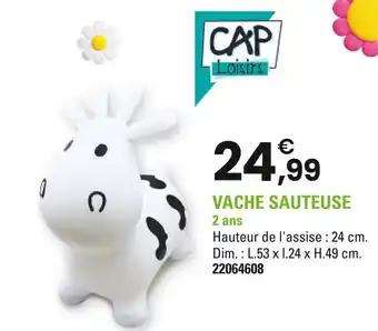 CAP LOISIRS Vache sauteuse
