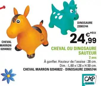 CAP Loisirs Cheval ou Dinosaure Sauteur