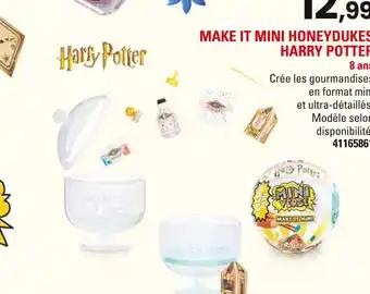 HARRY POTTER Make it mini Honeydukes
