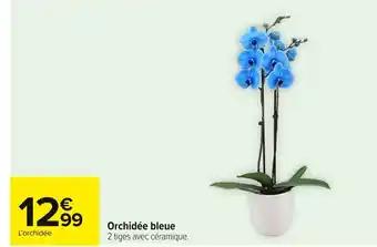 Promotion Exclusives de 12
Bleue : Découvrez l'Offre incontournable