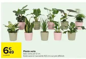 Promotion Exclusives de 28
Plante : Découvrez l'Offre incontournable