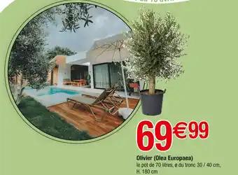 Promotion Exclusives de 10
Olivier : Découvrez l'Offre incontournable