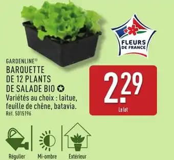 Promotion Exclusives de 8
Plants : Découvrez l'Offre incontournable