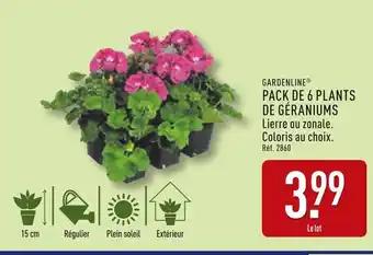 Gardenline Pack de 6 plants de géraniums