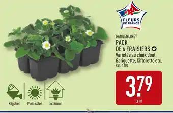 Promotion Exclusives de 2
            
        
        Fraisiers : Découvrez l'Offre incontournable