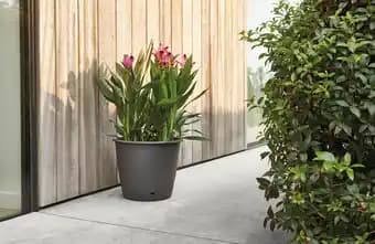 ECLOZ Pot L'Autonome ECLOZ