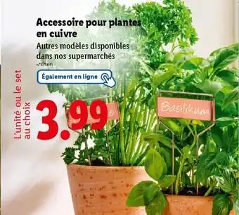 Accessoire pour plantes en cuivre