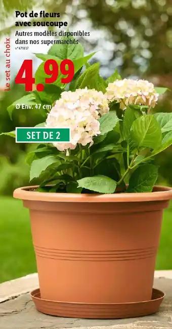 Pot de fleurs avec soucoupe