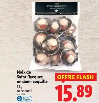 Promotion Exclusives de 12
Coquille : Découvrez l'Offre incontournable