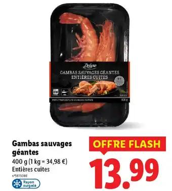 Promotion Exclusives de 2
Gambas sauvages : Découvrez l'Offre incontournable