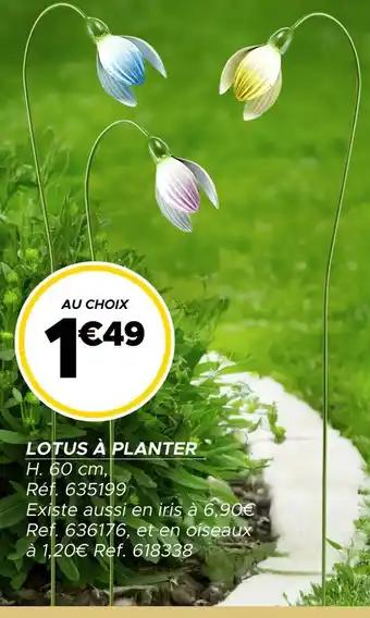 Promotion Exclusives de 8
Planter : Découvrez l'Offre incontournable