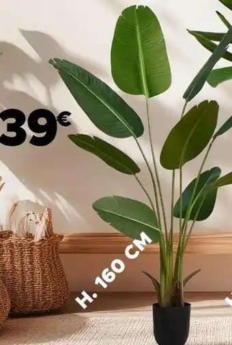 Promotion Exclusives de 19
Décorative : Découvrez l'Offre incontournable