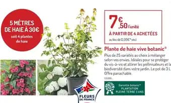Promotion Exclusives de 32
Haïe : Découvrez l'Offre incontournable