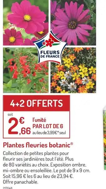 botanic Plantes fleuries