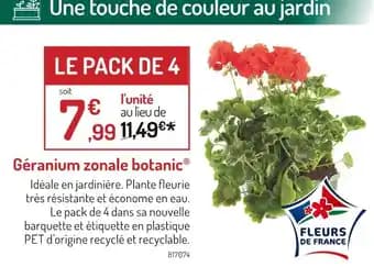 Promotion Exclusives de 4
Géranium zonale : Découvrez l'Offre incontournable