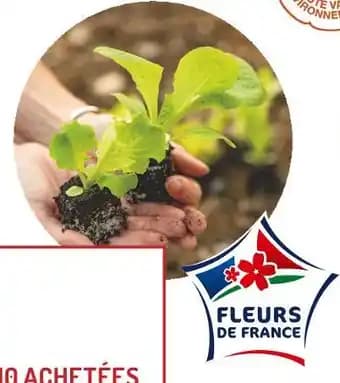 Promotion Exclusives de 19
En vrac : Découvrez l'Offre incontournable