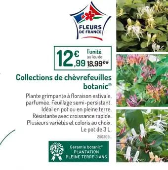 botanic Collections de chèvrefeuilles