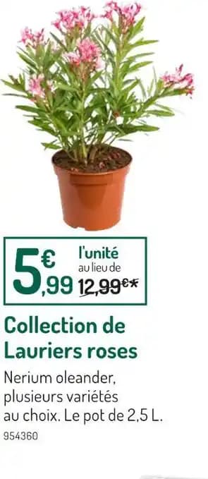 Collection de Lauriers roses