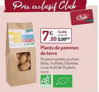 Botanic Plants de pommes de terre