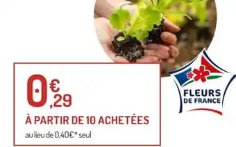 botanic Salades et aromatiques en motte vrac bio