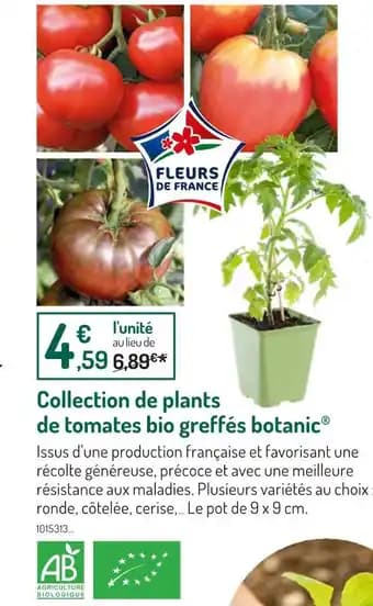 botanic Collection de plants de tomates bio greffés