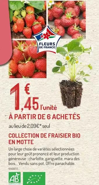 Promotion Exclusives de 54
Fleurs de : Découvrez l'Offre incontournable