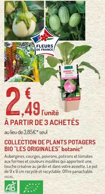 botanic Collection de plants potagers bio Les originales