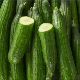 Promotion Exclusives de 16
Concombre : Découvrez l'Offre incontournable