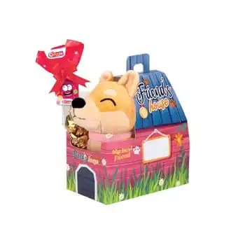 FIZZY Maison surprise Friends House