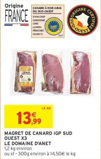 LE DOMAINE D'ANET MAGRET DE CANARD IGP SUD OUEST X3