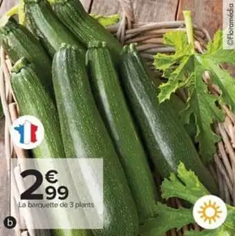 Promotion Exclusives de 15
Plant : Découvrez l'Offre incontournable