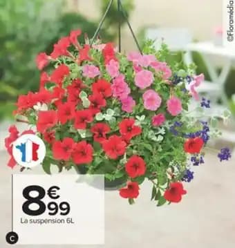 Promotion Exclusives de 22
Fleurie : Découvrez l'Offre incontournable