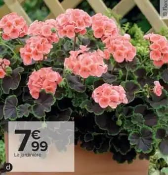 Promotion Exclusives de 34
Jardinière de : Découvrez l'Offre incontournable