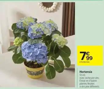 Promotion Exclusives de 8
Hortensia : Découvrez l'Offre incontournable