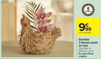 Promotion Exclusives de 10
En osier : Découvrez l'Offre incontournable