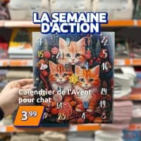Catalogue Action en ligne du 30 octobre au 09 novembre 2025